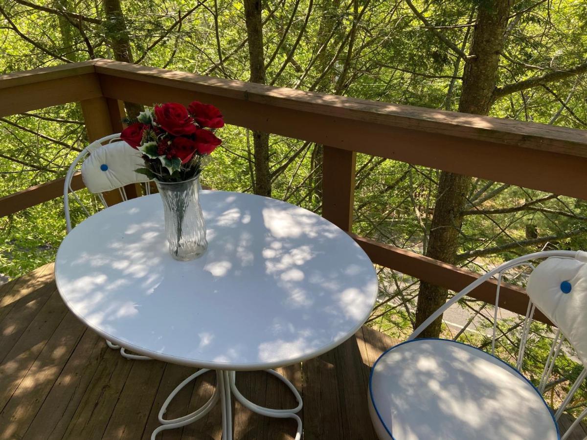 Saw Creek Cabin - Regent Hilltop Bushkill Bagian luar foto