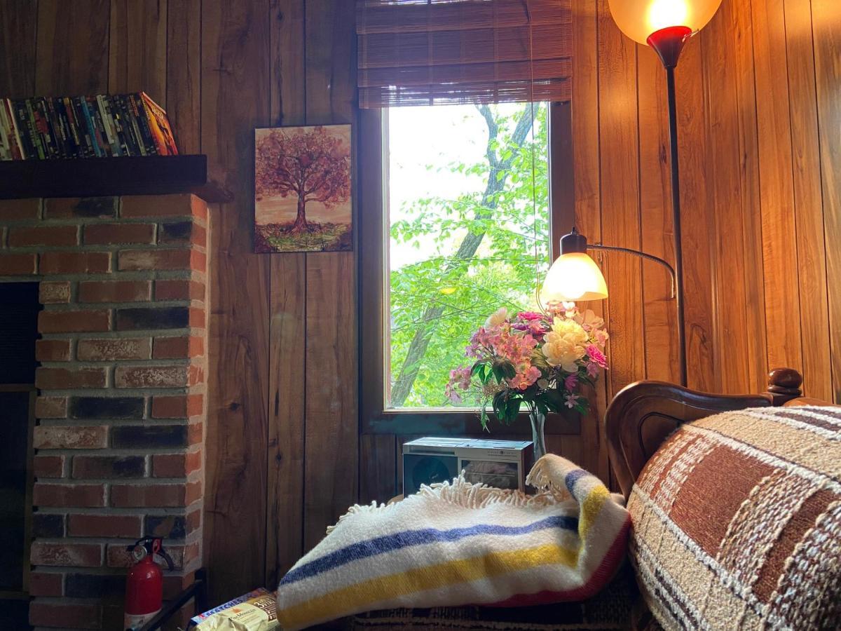 Saw Creek Cabin - Regent Hilltop Bushkill Bagian luar foto