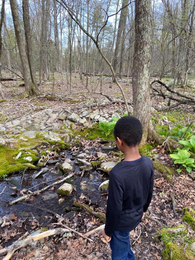 Saw Creek Cabin - Regent Hilltop Bushkill Bagian luar foto