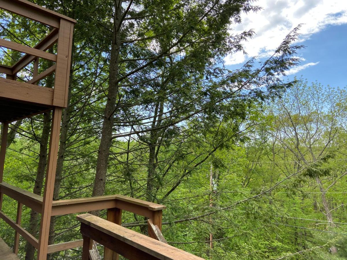 Saw Creek Cabin - Regent Hilltop Bushkill Bagian luar foto