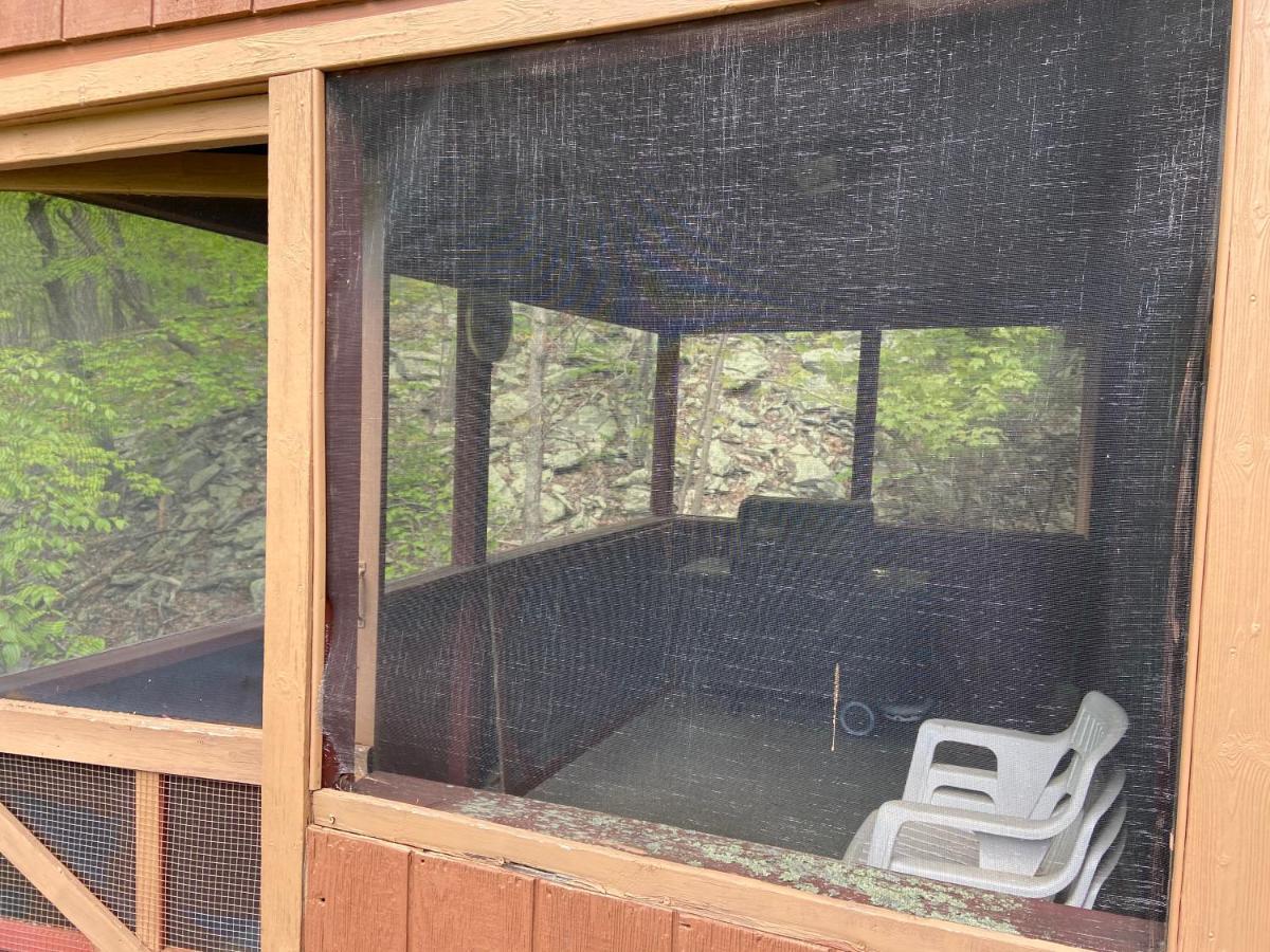 Saw Creek Cabin - Regent Hilltop Bushkill Bagian luar foto