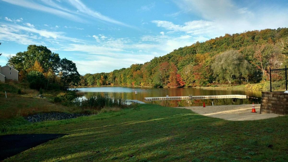 Saw Creek Cabin - Regent Hilltop Bushkill Bagian luar foto